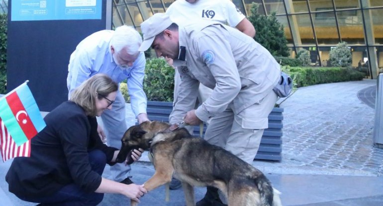 ABŞ Azərbaycana daha iki minaaxtaran it göndərib