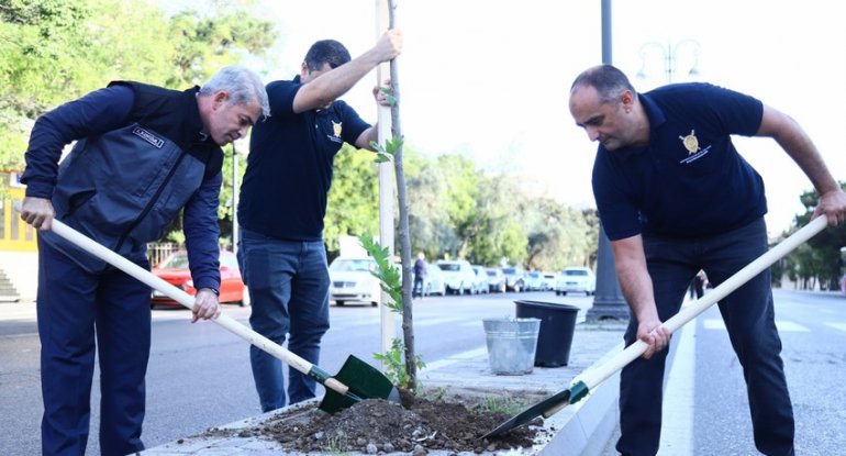 ECOLEAD layihəsi uğurla icra olunur - Fotolar