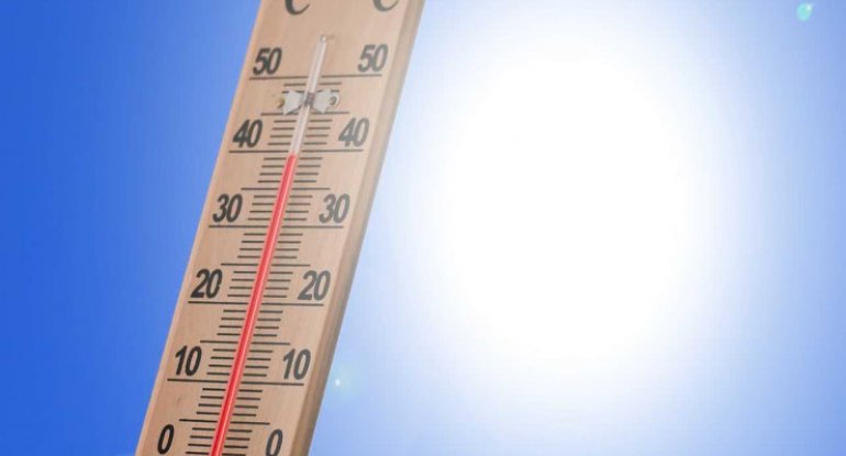 Temperaturu bir neçə dərəcə azaltmağın yolu TAPILDI