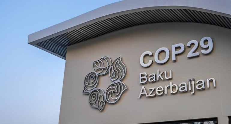 Bakıda COP29 Gənc Liderlik Forumu keçirilib