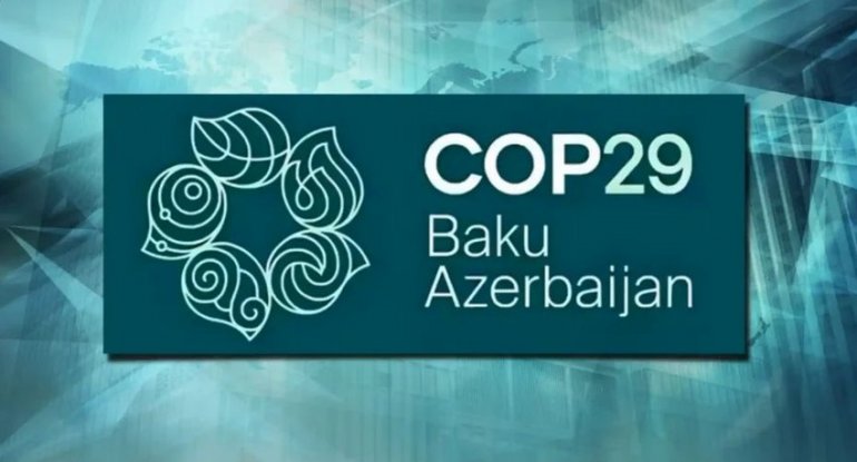 Bakıda “İqlim Dəyişikliyinə Dayanıqlı Kiçik və Orta Bizneslər” adlı tədbir keçirilib