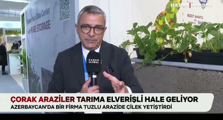 "Haber Global": "Azərbaycan şirkəti şoran torpaqları canlandırır" - VİDEO