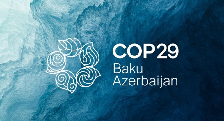 UNEP rəhbəri: COP29-da quracağımız gələcəyin təməli qoyulub