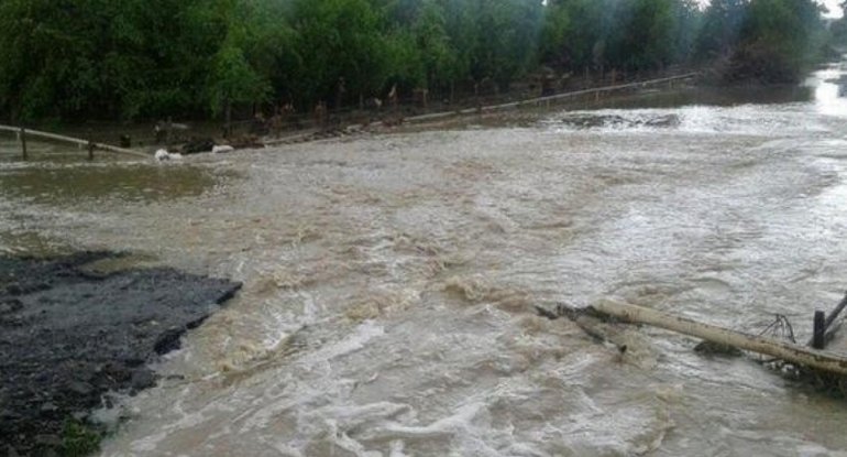 Bakıda və bölgələrdə leysan olacaq - XƏBƏRDARLIQ