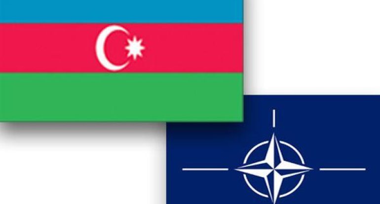 Azərbaycan və NATO arasında mühüm müzakirə