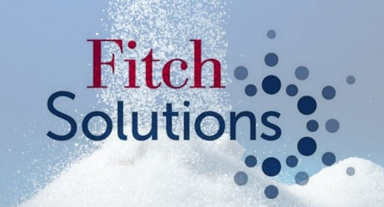 “Fitch Solutions” 2025-ci ildə turizmi təşviq edən əsas amilləri açıqlayıb