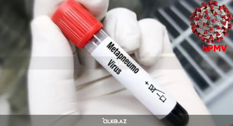 Nazirlik yeni yayılan "hPMV" virusu ilə bağlı çağırış etdi