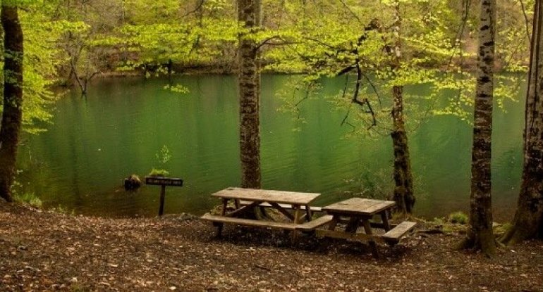 Ötən il milli parkları ziyarət edən turistlərin sayı açıqlandı