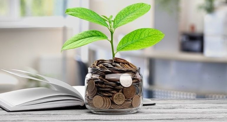 Bizə gəlir gətirəcək investisyalar - Pulumuzu nəyə yatıraq?