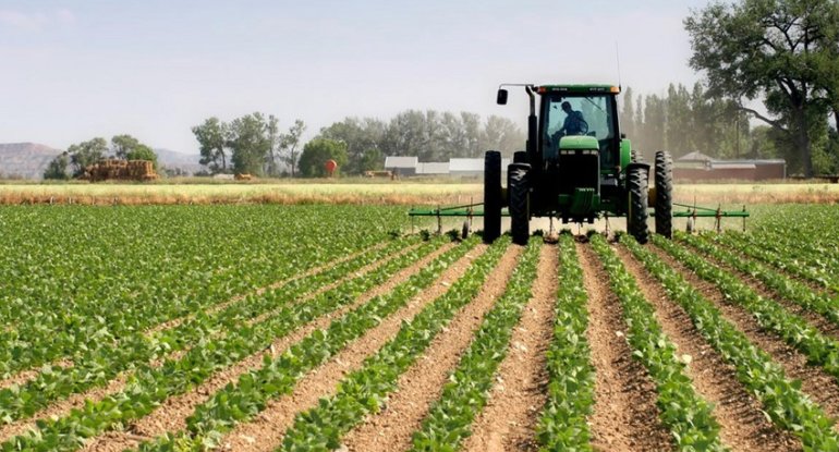 Aqrar Subsidiya Şurası subsidiya əmsalları ilə bağlı yeni qərar qəbul edib