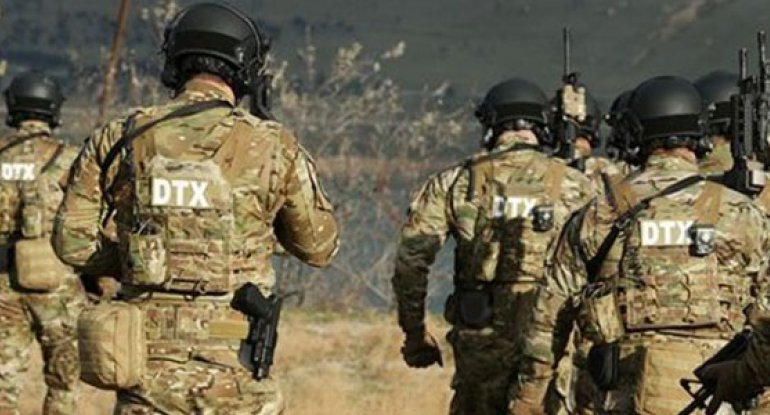 Qusar meşələrində böyük əməliyyatla tutulanları hansı cəza gözləyir?