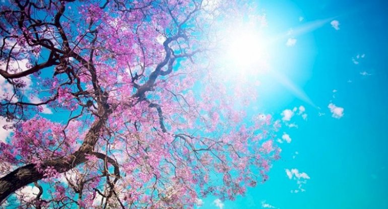 Sabah havanın temperaturu 13 dərəcəyədək artacaq