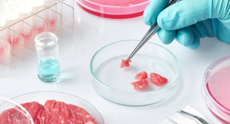 Laboratoriyada istehsal olunan qidalar bazara çıxarılır