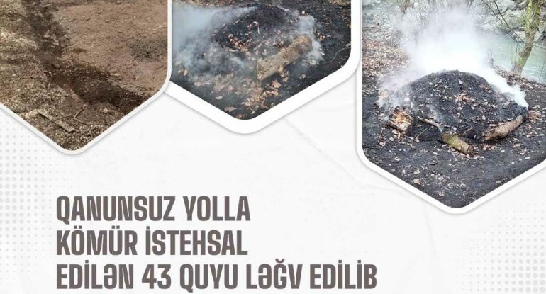 Rayonlarda 43 kömür quyusu ləğv edildi