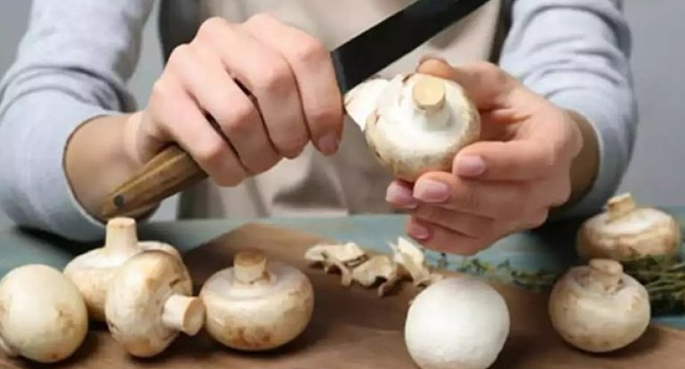 Göbələyin bu faydalarını bilirdiniz?