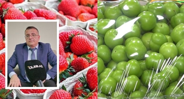 Fantastik qiymətə satılan meyvələr: Ekspert elə şeylər dedi ki...