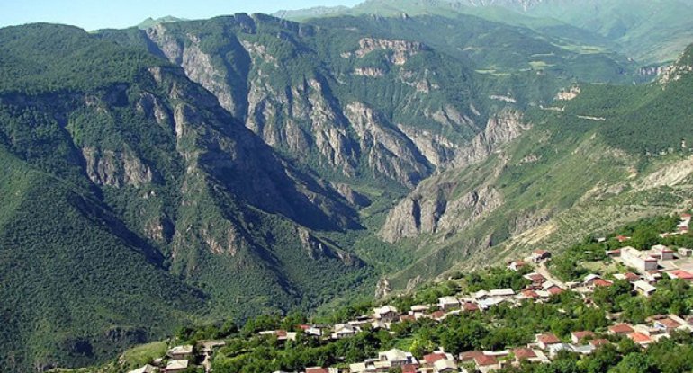 Azad edilmiş ərazilərdə mal-qara saxlanılması ilə bağlı məsələyə aydınlıq gətirilib