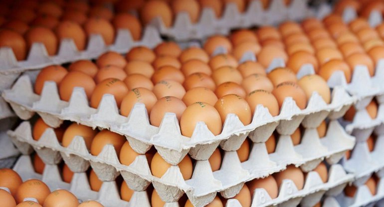 Makretlərdə köhnə yumurta satılır - Necə ayırd edək? - AÇIQLAMA