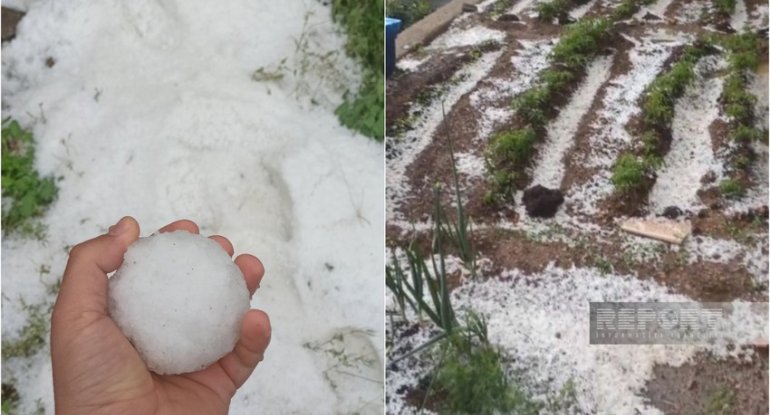 Culfaya dolu yağıb&nbsp;