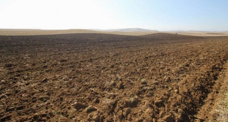 Azərbaycanda növbəti torpaq hərracları elan edilib