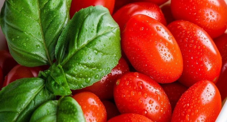 Təzə pomidorları soyuducuda saxlamayın: ən yaxşı yer haradır?