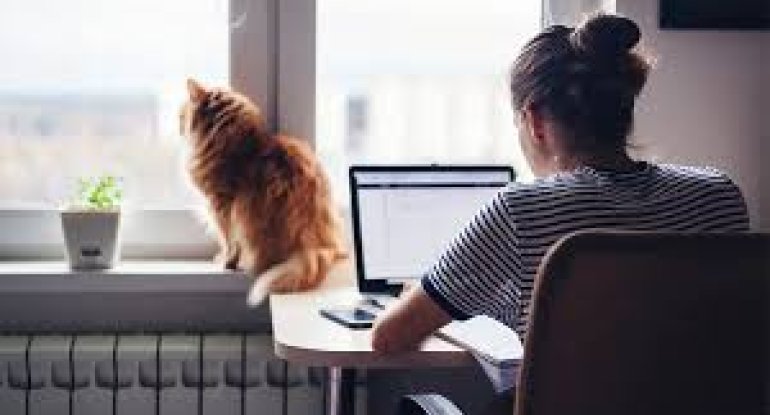 Sevərək işlədiyimiz ev mühiti işimizi necə ləngidir? - 7 əsas mənfi cəhət