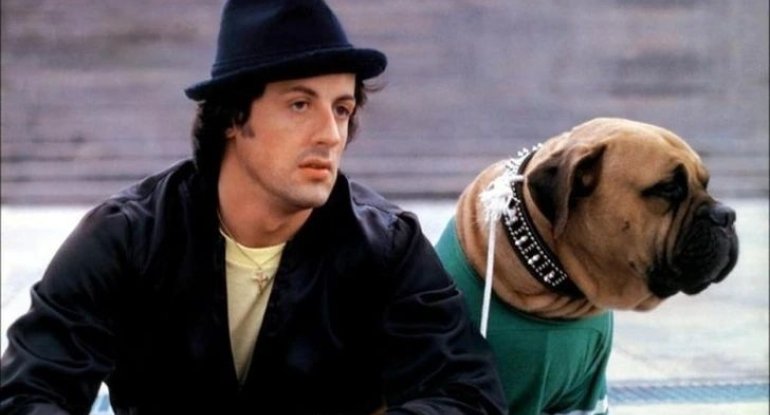 Öz yaxın dostunu 40 dollara satan Silvester Stallone elə günlərə qalıb ki... - Rembonun acı hekayəsi