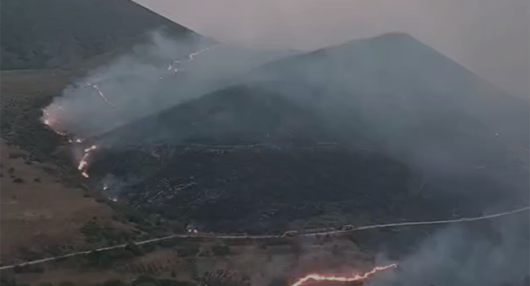 Suqovuşanda meşədə yanğın başlayıb - Foto