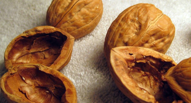 Bundan sonra qoz qabığını atmayın - faydaları saymaqla bitmir