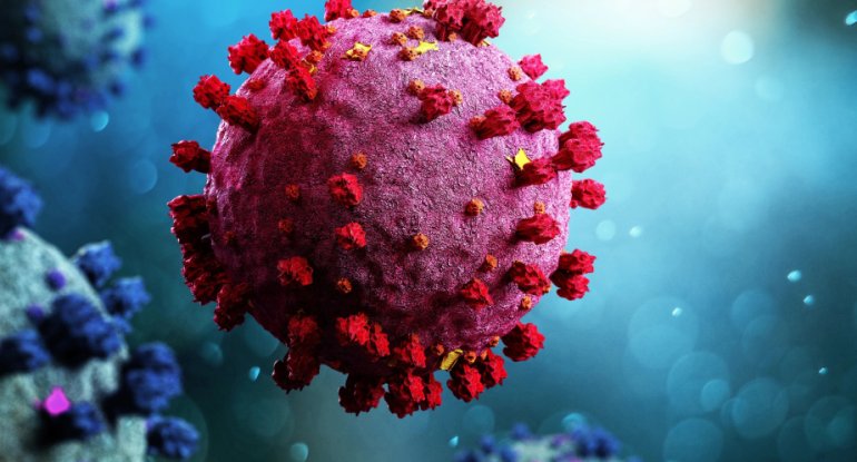 Bu virus qadınlarda qan damarlarının daha sürətli qocalmasına səbəb ola bilər - TƏDQİQAT