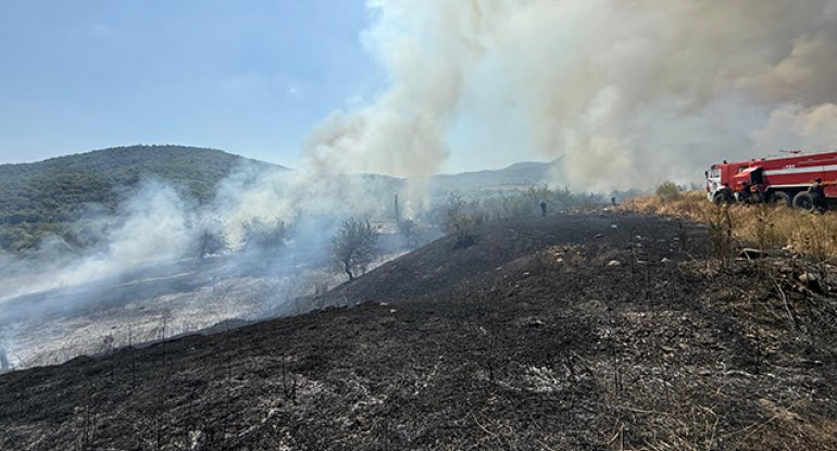 Xocalı və Xocavənddə yanğına səbəb olan şəxs saxlanıldı