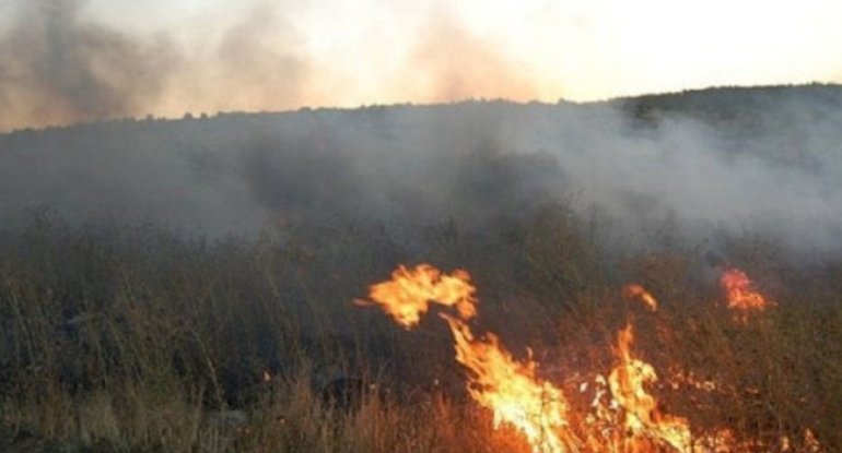 Samuxda açıq ərazidə yanğın başlayıb