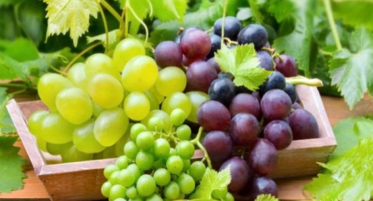 Bu faydalarını biləndən sonra həmişə üzüm yeyəcəksiniz