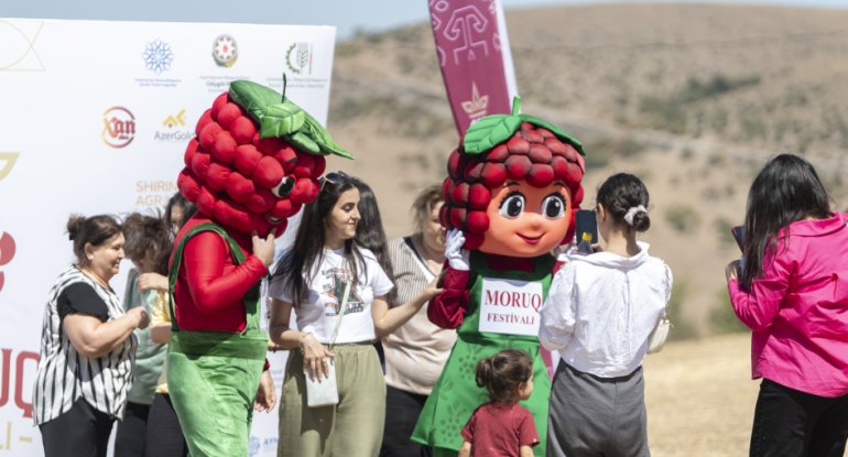 Göygöldə festivallar keçirilib