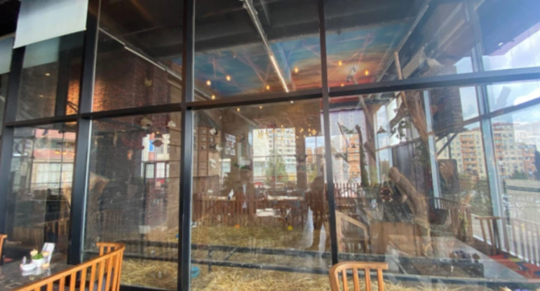 Xətaidə vəhşi heyvanların qanunsuz saxlanıldığı restorana xəbərdarlıq edildi