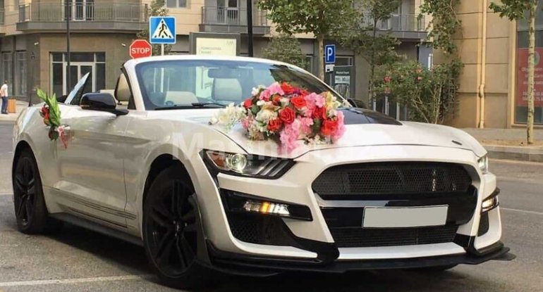 Toy karvanında hərəkət edənlərə XƏBƏRDARLIQ