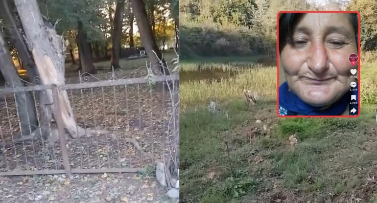 İsmayıllının Qalınçaq kənd sakininin iddiaları ilə bağlı rəsmi AÇIQLAMA