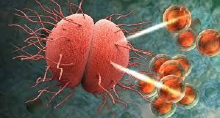 Antibiotiklərə təslim olmayan infeksiyalar güclənir