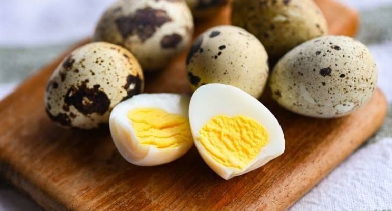 Bildirçin yumurtası uşağın nitqini açır? - Loqopeddən cavab