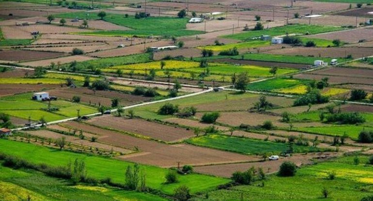 Ötən ay Bakıda torpaq qiymətləri nə qədər artıb? &ndash; CƏDVƏL