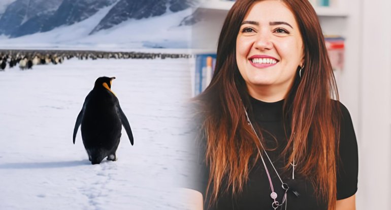 Sağ qalmağı deyil, yaşamağı seçən nihilist pinqvin&hellip;