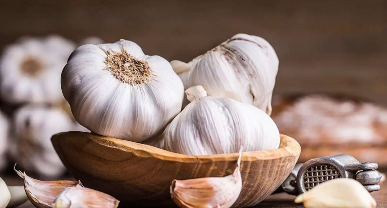 Gündə neçə diş sarımsaq yemək olar?