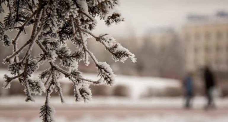 Temperatur aşağı düşəcək, qar yağacaq - XƏBƏRDARLIQ
