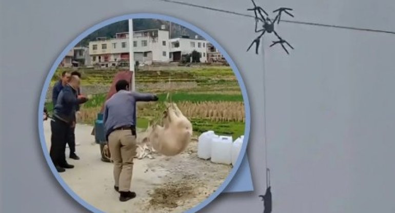 Fermer dronla donuz daşımağa çalışarkən bir kəndi işıqsız qoydu - FOTO