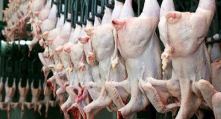 Türkiyədən toyuq məhsullarının ixracı dayandırılır