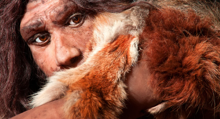 "Hobbit"lərin 61 min il əvvəlki sirri açıldı
