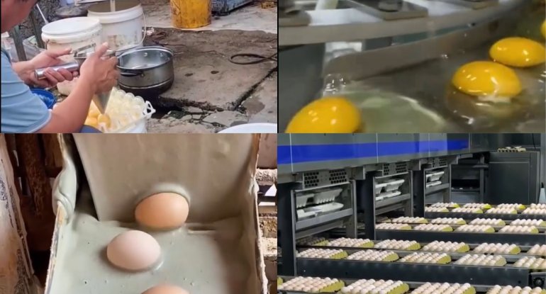 Bu dəfə də saxta yumurta istehsal edirlər: Orijinaldan ayırd etmək olmur - VİDEO