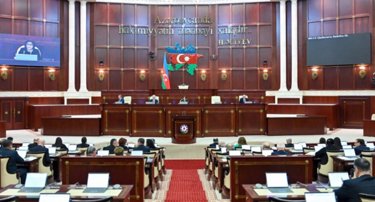 Ombudsman Milli Məclisdə illik məruzə ilə çıxış edir
