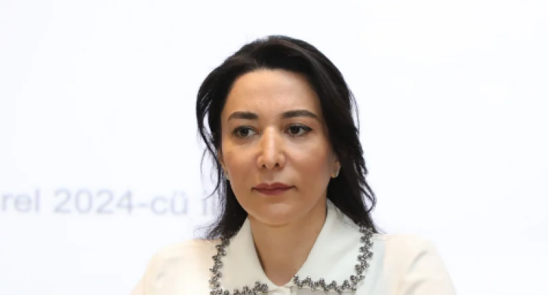 İşsiz şəxslərə ünvanlı dövlət sosial yardımın verilmə mexanizmi asanlaşdırılmalıdır - Ombudsman&nbsp;
