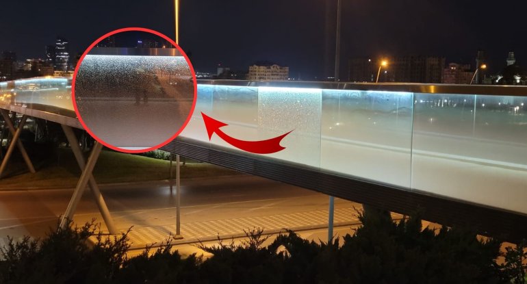 Bakıda Mərkəzi Parkda təhlükəli vəziyyət - FOTO